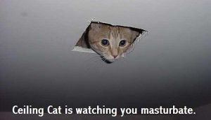 ceiling_cat_is_watching_you_masturbate